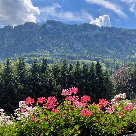 Ferienwohnung Mit Seeblick, Unterach Am Attersse 阿特湖畔翁特拉赫 外观 照片