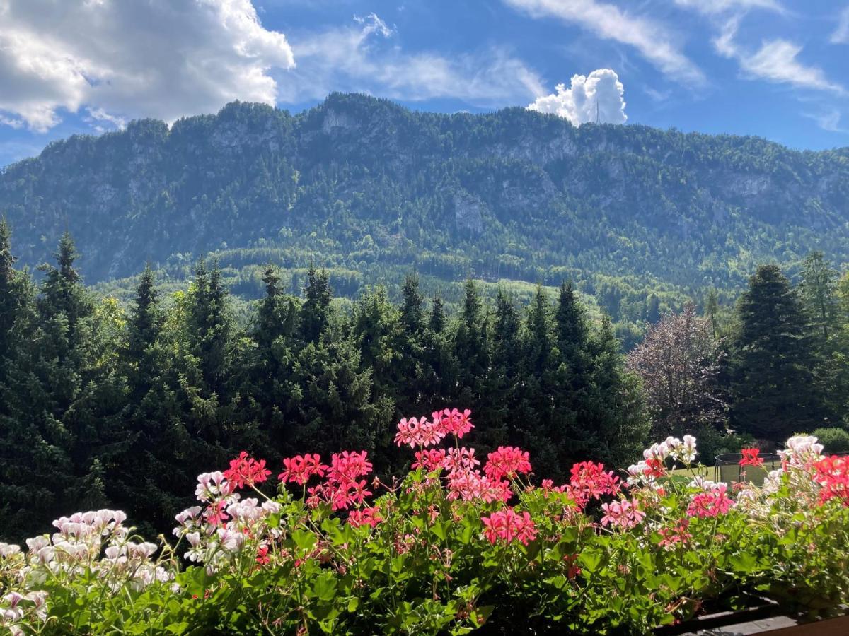 Ferienwohnung Mit Seeblick, Unterach Am Attersse 阿特湖畔翁特拉赫 外观 照片